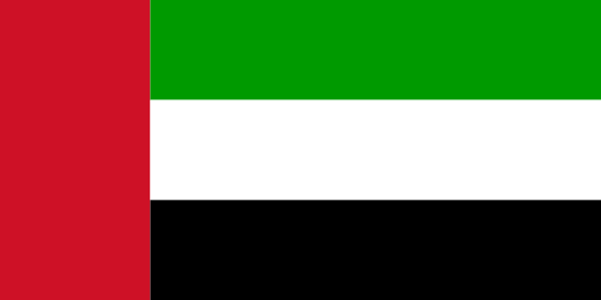 UAE F1 GP