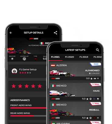 Formula Car Setup - F1 Game Setup